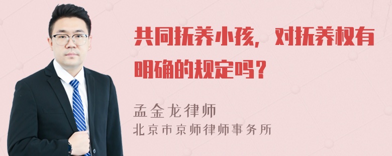 共同抚养小孩，对抚养权有明确的规定吗？