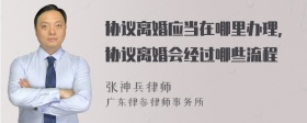 协议离婚应当在哪里办理，协议离婚会经过哪些流程