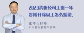 2023我也公司上班一年多被开除员工怎么赔偿，