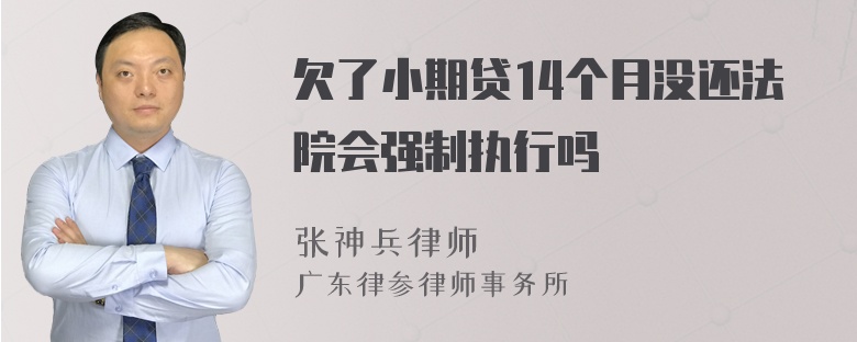 欠了小期贷14个月没还法院会强制执行吗