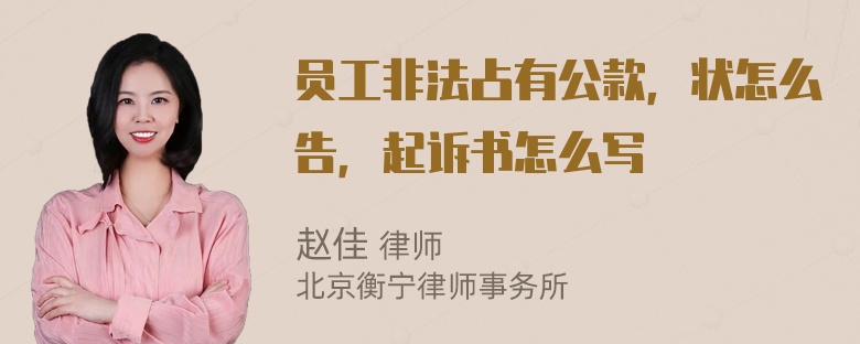 员工非法占有公款，状怎么告，起诉书怎么写