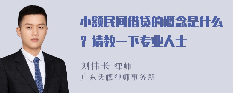 小额民间借贷的概念是什么？请教一下专业人士