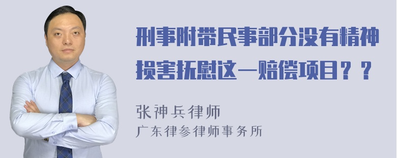 刑事附带民事部分没有精神损害抚慰这一赔偿项目？？