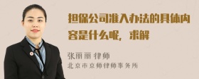 担保公司准入办法的具体内容是什么呢，求解