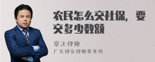 农民怎么交社保，要交多少数额