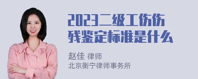 2023二级工伤伤残鉴定标准是什么