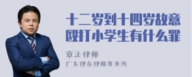 十二岁到十四岁故意殴打小学生有什么罪