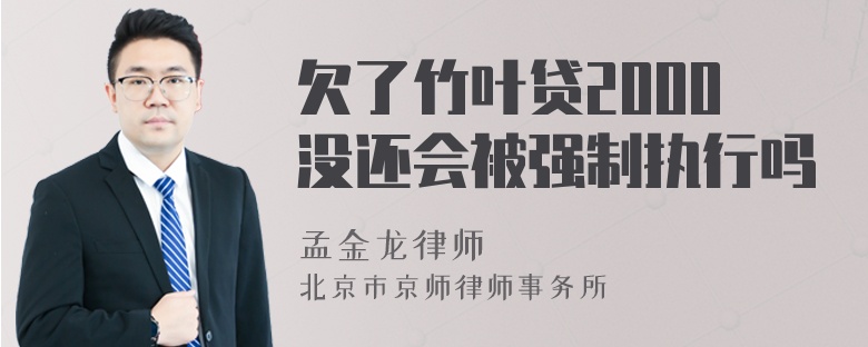 欠了竹叶贷2000没还会被强制执行吗