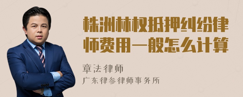 株洲林权抵押纠纷律师费用一般怎么计算