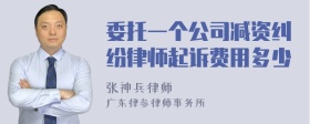 委托一个公司减资纠纷律师起诉费用多少