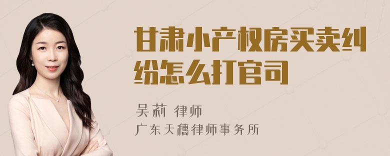 甘肃小产权房买卖纠纷怎么打官司