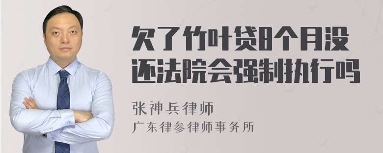 欠了竹叶贷8个月没还法院会强制执行吗