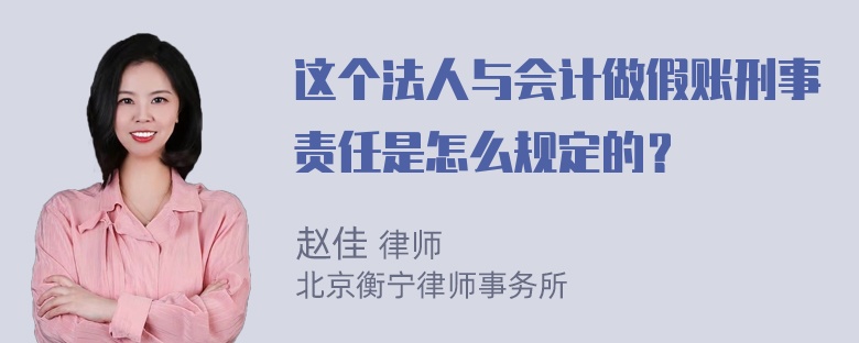 这个法人与会计做假账刑事责任是怎么规定的？