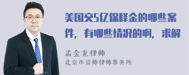 美国交5亿保释金的哪些案件，有哪些情况的啊，求解