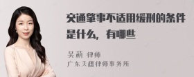 交通肇事不适用缓刑的条件是什么，有哪些