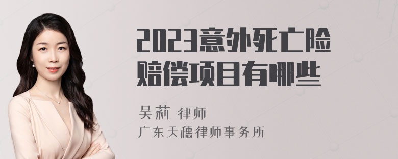 2023意外死亡险赔偿项目有哪些