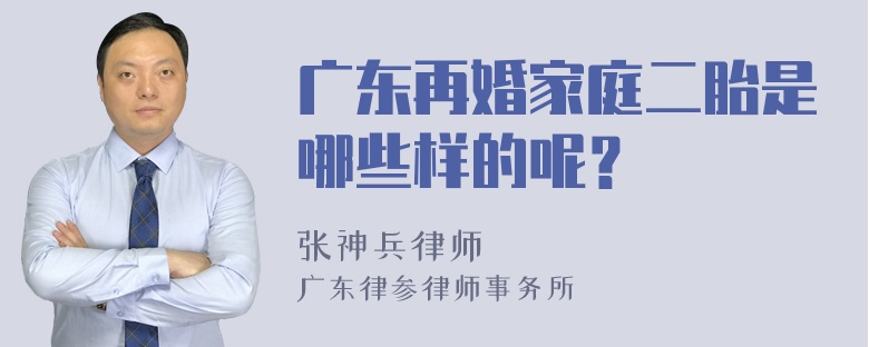 广东再婚家庭二胎是哪些样的呢？