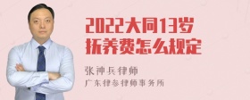 2022大同13岁抚养费怎么规定