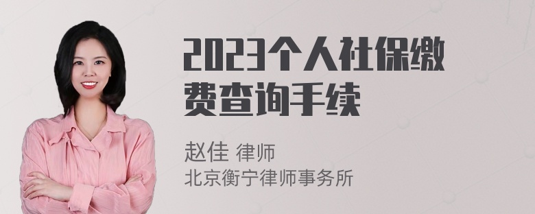 2023个人社保缴费查询手续