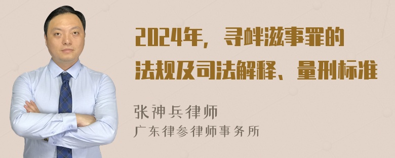 2024年，寻衅滋事罪的法规及司法解释、量刑标准