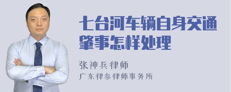 七台河车辆自身交通肇事怎样处理