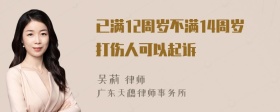 已满12周岁不满14周岁打伤人可以起诉