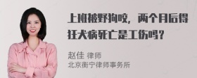 上班被野狗咬，两个月后得狂犬病死亡是工伤吗？