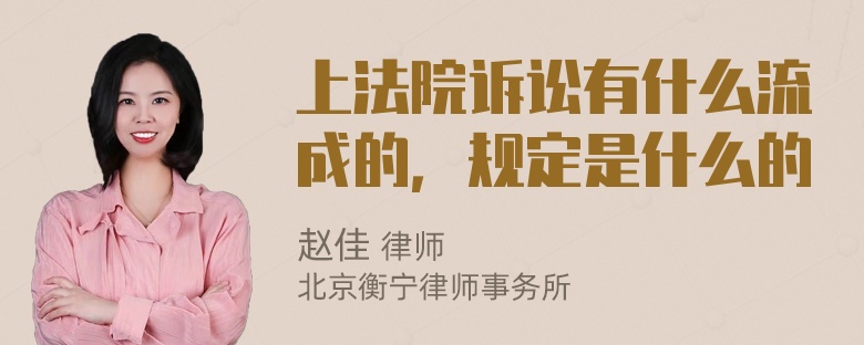 上法院诉讼有什么流成的，规定是什么的