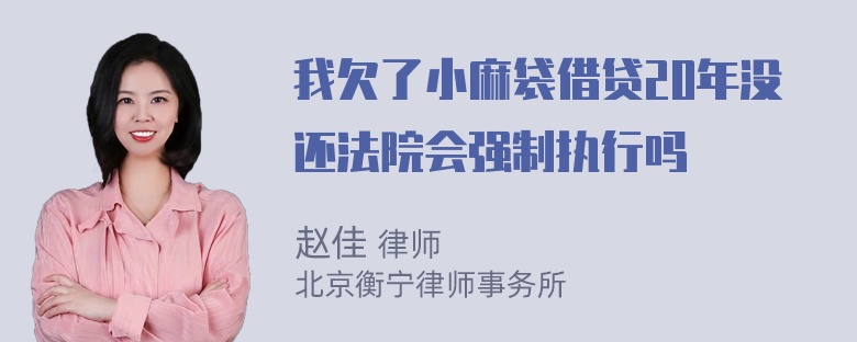 我欠了小麻袋借贷20年没还法院会强制执行吗