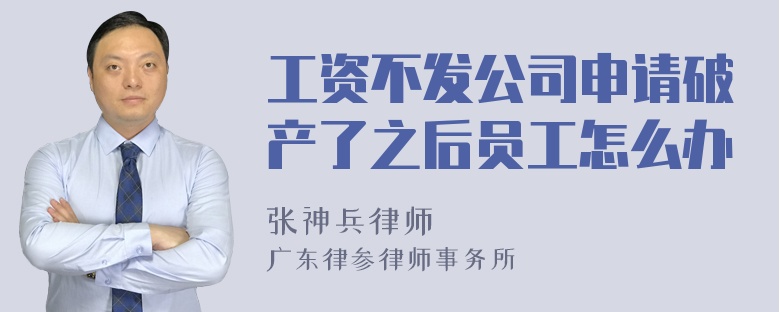 工资不发公司申请破产了之后员工怎么办