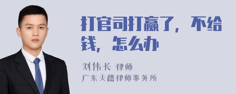 打官司打赢了，不给钱，怎么办