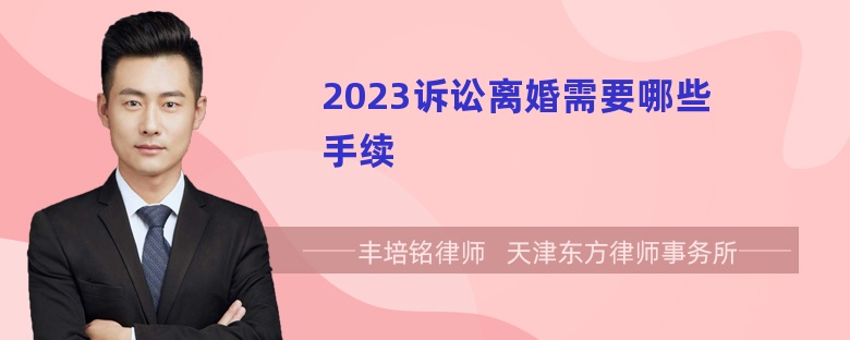 2023诉讼离婚需要哪些手续