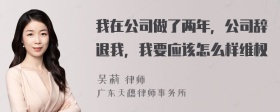 我在公司做了两年，公司辞退我，我要应该怎么样维权