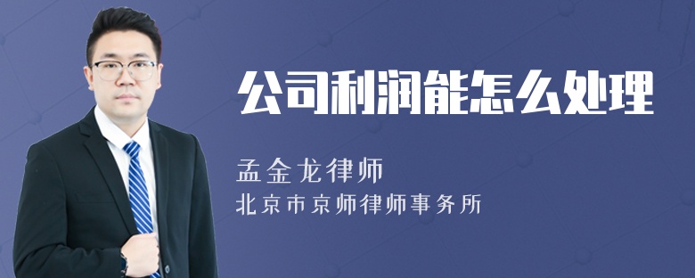 公司利润能怎么处理
