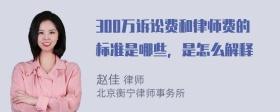 300万诉讼费和律师费的标准是哪些，是怎么解释