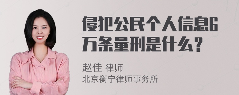 侵犯公民个人信息6万条量刑是什么？