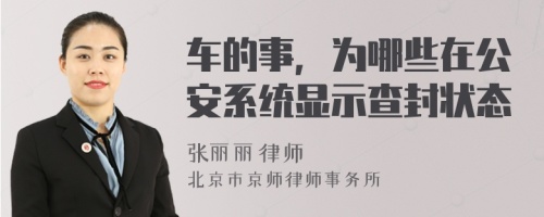 车的事，为哪些在公安系统显示查封状态