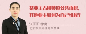 某业主占用楼道公共面积，其他业主如何为自己维权？