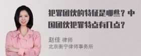 犯罪团伙的特征是哪些？中国团伙犯罪特点有几点？