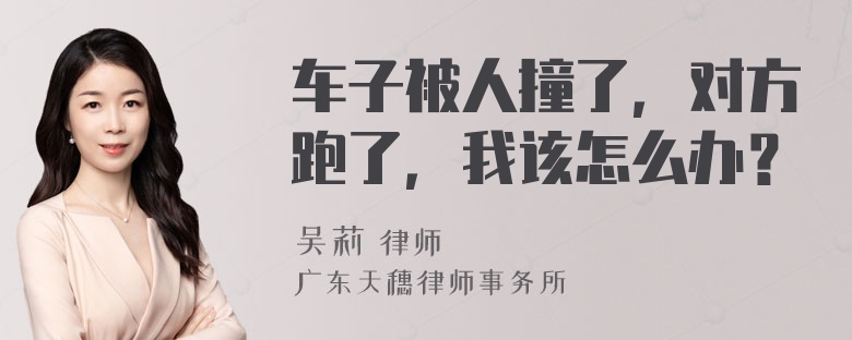 车子被人撞了，对方跑了，我该怎么办？