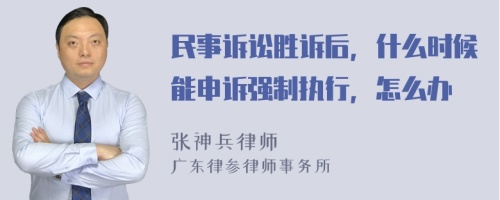 民事诉讼胜诉后，什么时候能申诉强制执行，怎么办