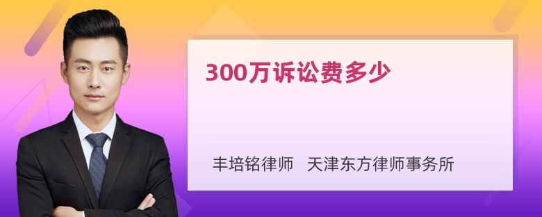 300万诉讼费多少