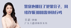 警察也抓住了犯罪分子，网络诈骗3000监外执行吗