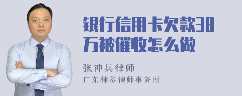 银行信用卡欠款38万被催收怎么做