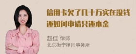 信用卡欠了几十万实在没钱还如何申请只还本金