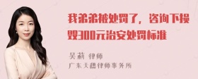 我弟弟被处罚了，咨询下损毁300元治安处罚标准