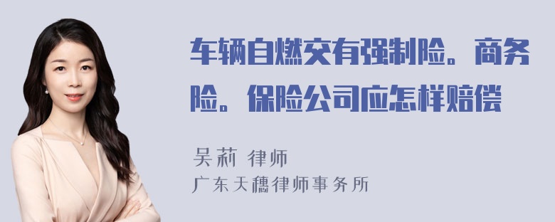 车辆自燃交有强制险。商务险。保险公司应怎样赔偿