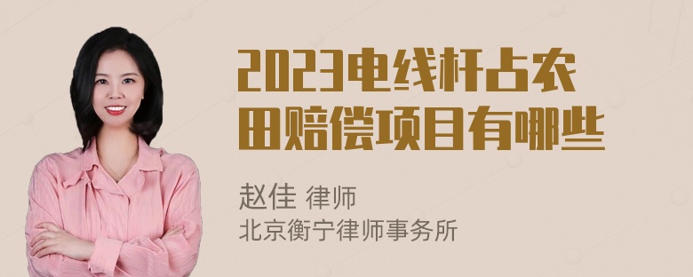 2023电线杆占农田赔偿项目有哪些