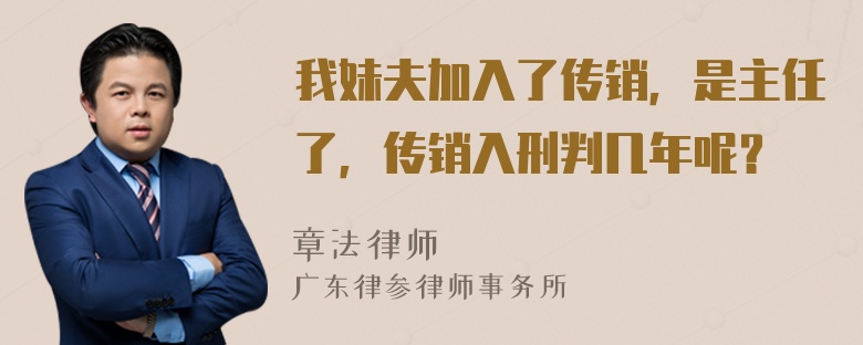 我妹夫加入了传销，是主任了，传销入刑判几年呢？