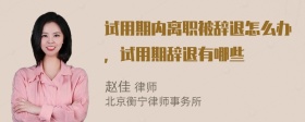 试用期内离职被辞退怎么办，试用期辞退有哪些